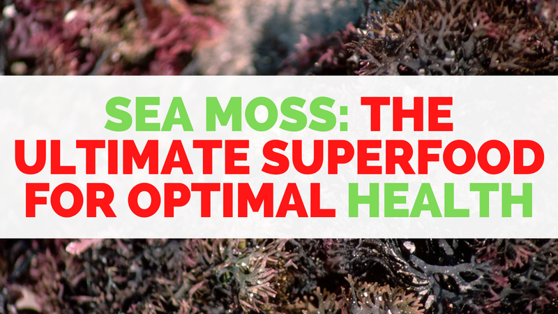 Sea Moss: The Ultimate Superfood for Optimal Health