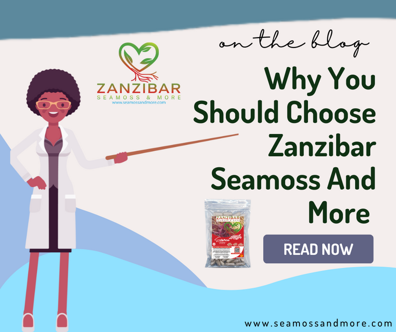 The Health Benefits of Sea Moss: Why You Should Choose Zanzibar Seamoss and More