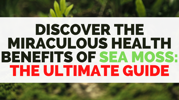 Discover the Miraculous Health Benefits of Sea Moss: The Ultimate Guide